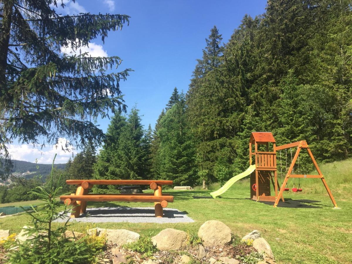 Apartment Hajovna Lipno Loucovice