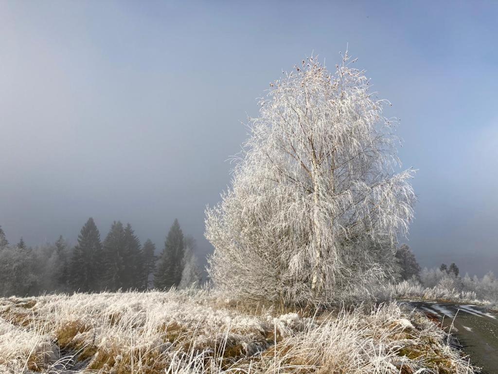 Hajovna Lipno
