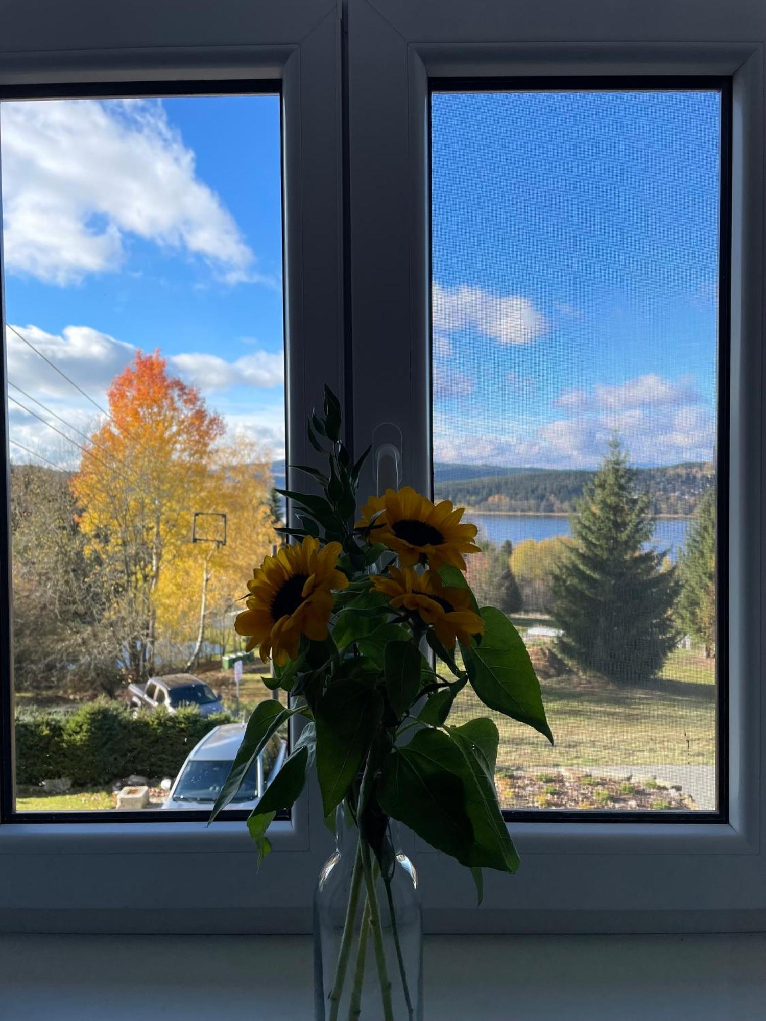 Apartment Hajovna Lipno